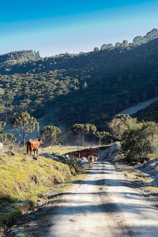 Lodge Vale Sagrado